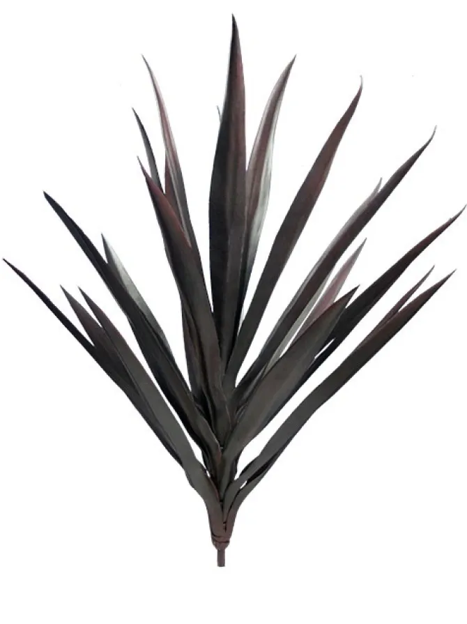 yucca__in_burgundy_0.webp Yucca 27 in. Burgundy