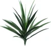 Yucca 27 in. Green