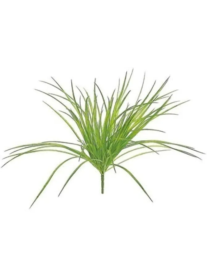 zebra_grass_bush__in_ligh_0.webp Zebra Grass Bush 21 in. Light Green